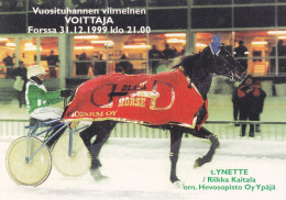 Horse - Cheval - Paard - Pferd - Cavallo - Cavalo - Caballo - Häst - Ravit - Ynette The Last Winner Of The Millennium - Caballos