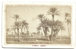 Photo Ancienne Sur Carton Environs De Biskra Oasis Zaouïa Ph Veuve Thomas Rue Bab Azoun Alger - Places