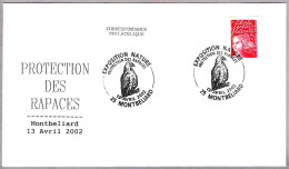 PROTECCION DE RAPACES - PROTECTION OF PREY. Montbeliard 2002 - Aigles & Rapaces Diurnes