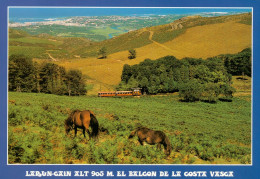CPM-64- LARUN - GAIN _ Les Pottoks - Le Train Et Au Fond, St-Jean De Luz  *TBE- **2 Scans - Autres & Non Classés