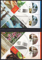 IS676 – ISLANDE - ICELAND - BOOKLETS - 2005 - EUROPA - Y&T # C1030/31 MNH 55 € - Booklets