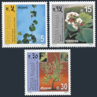 Nepal 699-701, MNH. Herbs 2001. Water Pennywort, Rockfoil, Himalayan Yew. - Népal