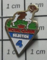 1818B Pin's Pins / Beau Et Rare / ANIMAUX / CHIEN DE CHASSE EPAGNEUL BRETON ROYAL CANIN SELECTION 4 - Animales
