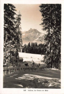 [-5%] SUISSE - Villars - Les Dents Du Midi - Neige - Allée - Forêt - Carte Postale - Morcles