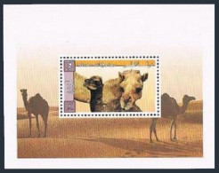 Qatar 919,MNH. Camels 1999.Adult,juvenile. - Qatar