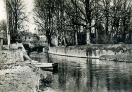 72 - LA FERTE BERNARD - Bras De L'Huisne, à Gauche L'Allée Du Château - La Ferte Bernard