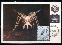 YUGOSLAVIA JUGOSLAVIA 1962 FIGHT AGAINST MALARIA PALUDISME WHO OMS DRIVE TO EREDICATE 50d MAXI MAXIMUM CARD CARTE - Joegoslavië