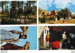 ALGÉRIE LOT DE 8 CPSM Série Algérie Pittoresque - Escenas & Tipos