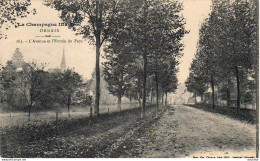 D51   ORBAIS   L'Avenue Et L'Entrée Du Pays - Autres & Non Classés