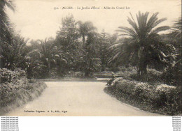 ALGERIE  ALGER   Le Jardin D' Essai- Allée Du Grand Lac  ..... - Algerien