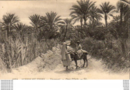 ALGERIE  SCENES ET TYPES  Touggourt -Dans L'Oasis ..... ( Ref FF1528 ) - Scenes