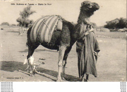 ALGERIE  SCENES ET TYPES  Dans Le Sud ( 2°choix ) ..... ( Ref FF1655 ) - Szenen