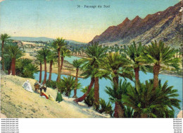 ALGERIE  SCENES ET TYPES  Paysage Du Sud ( 2°choix )  ..... ( Ref FF1654 ) - Scenes