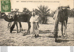 ALGERIE  SCENES ET TYPES  Chameaux Au Pâturage  ..... ( Ref FF1685 ) - Escenas & Tipos