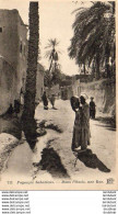 ALGERIE  SCENES ET TYPES  Dans L'Oasis, Une Rue  ..... ( Ref FF1841 ) - Plaatsen