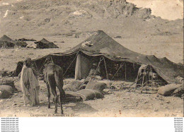 ALGERIE  SCENES ET TYPES  Campement De Nomades Au Désert  ..... ( Ref FF1831 ) - Scene & Tipi