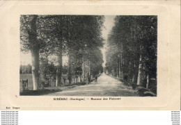 D24  RIBERAC   Avenue Des Platanes - Riberac