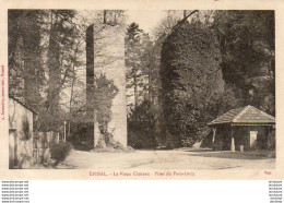 D88  EPINAL  Le Vieux- Château- Piles Du Pont Levis   ..... - Epinal