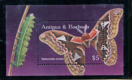 Antigua Et Barbuda ** Bloc 544 - Papillons - Antigua Et Barbuda (1981-...)