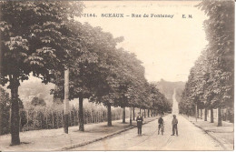 SCEAUX (89) Rue De Fontenay - Altri & Non Classificati