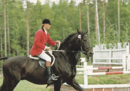 Horse - Cheval - Paard - Pferd - Cavallo - Cavalo - Caballo - Häst - Stallion Biolun 75 - Breeding Stallions - Chevaux