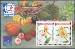 Singapore 686b,MNH.Michel 718-719,Bl.30. SINGAPORE-1995,HONG KONG-1995.Orchid. - Singapur (1959-...)