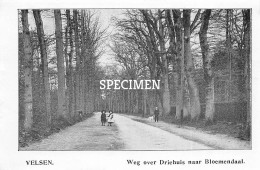 Prent - Weg Over Driehuis Naar Bloemendaal - Velsen   - 8.5x12.5 Cm - Autres & Non Classés