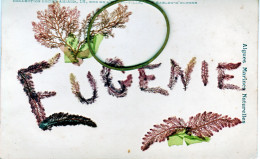 85 Vendée LES SABLES D'OLONNE Algues Marines Naturelles Avec Prénom " EUGENIE " - Sables D'Olonne