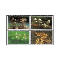 Thailand 1531-1534, 1534a Sheet, MNH. Michel 1558-1561, Bl.50. Mushrooms 1993. - Thailand