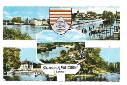 CP DEPT 72 SOUVENIR  DE MALICORNE - Malicorne Sur Sarthe