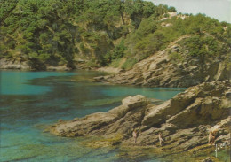 Les Environs Du Lavandou - Crique Du Cap Bénat - (P) - Le Lavandou