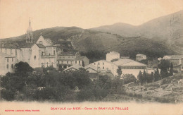 Banyuls Sur Mer * Vue Sur Les Caves De Banyus Trilles * Vignoble Vin - Banyuls Sur Mer