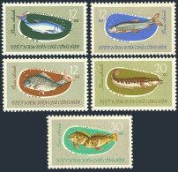 Viet Nam 263-267, MNH. Michel 270-274. Fish, 1963. - Viêt-Nam