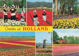 GROETEN UIT HOLLAND - Andere & Zonder Classificatie