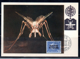 SWITZERLAND SUISSE SCHWEIZ SVIZZERA HELVETIA 1962 WHO ANTI-MALARIA CAMPAIGN PALUDISME 50c MAXI MAXIMUM CARD CARTE - Maximumkarten (MC)