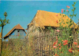 68 - Ungersheim - Ecomusée D'Alsace - La Ferme D'un Laboureur Du Sundgau à L'époque De La Révolte Des Paysans - CPM - Vo - Andere & Zonder Classificatie