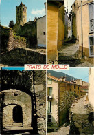 66 - Prats De Mollo - La Preste - Multivues - CPM - Voir Scans Recto-Verso - Andere & Zonder Classificatie