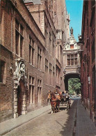 Belgique - Bruges - Brugge - Rue De L'Ane Aveugle Avec Le Pont Des Soupirs - Attelage De Chevaux - Carte Neuve - CPM - V - Brugge