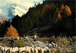 Animaux - Moutons - Images De La Vie Rurale - Rentrée Du Troupeau - CPM - Voir Scans Recto-Verso - Altri & Non Classificati