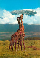 Animaux - Girafes - African Wildlife - Voir Timbre Du Kenya - CPM - Voir Scans Recto-Verso - Jirafas