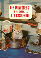 Animaux - Chats - Chatons - Carte Humoristique - Carte Neuve - CPM - Voir Scans Recto-Verso - Cats