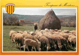 Animaux - Moutons - Provence - CPM - Voir Scans Recto-Verso - Sonstige & Ohne Zuordnung