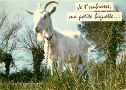 Animaux - Chèvres - Carte à Message Humoristique - CPM - Voir Scans Recto-Verso - Autres & Non Classés