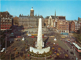 Pays-Bas - Nederland - Amsterdam - CPM - Voir Scans Recto-Verso - Amsterdam