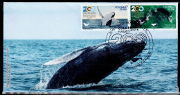 16-KOLUMBIEN - 2023-FDC- COLOMBIA-ARGENTINA 200 YEARS OF DIPLOMATIC RELATIONS - WHALES - Colombie