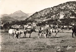 Font Romeu * Mont Louis * Environs * Village Les Bouillouses * Refuges Et Camp De Vacances - Autres & Non Classés