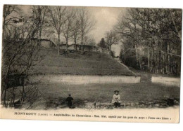 MONTBOUY AMPHITHEATRE DE CHENEVIERES  ANIMEE - Other & Unclassified