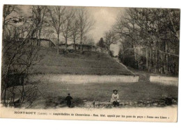 MONTBOUY AMPHITHEATRE DE CHENEVIERES  ANIMEE - Autres & Non Classés