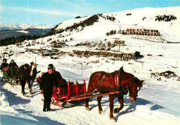 72791716 Alpe Di Siusi Pferdeschlitten Winterpanorama Alpe Di Siusi - Autres & Non Classés