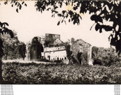 D24  VILLARS  Ruines De L'Abbaye Romane De Boschaud - Sonstige & Ohne Zuordnung